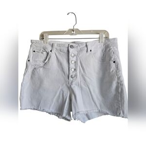 Time & True 5 Button High Rise Denim Shorts Plus Size 16.